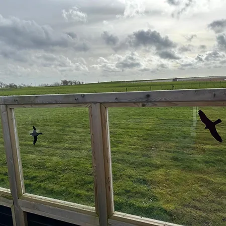 Campsite Prachtig De Zee Ster
