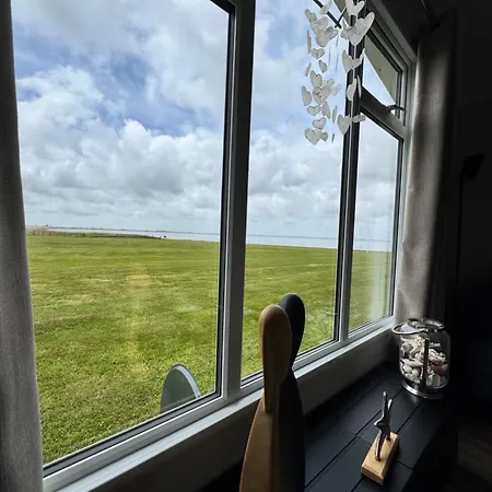 Prachtig De Zee Ster