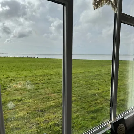 Prachtig De Zee Ster *