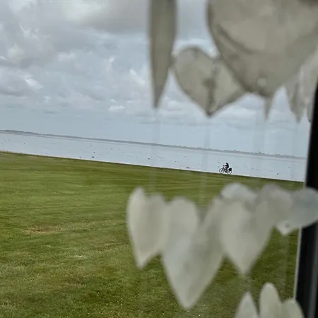 Prachtig De Zee Ster * Westerland