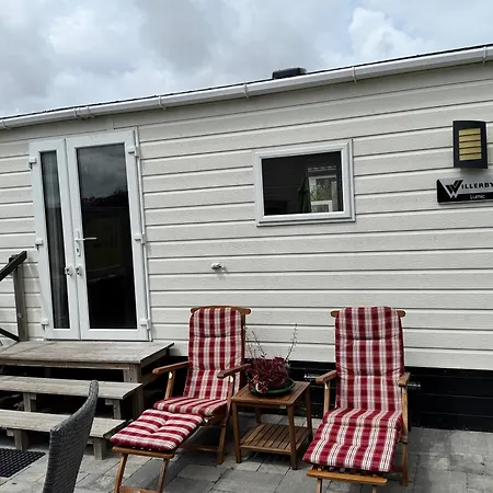 Prachtig De Zee Ster *